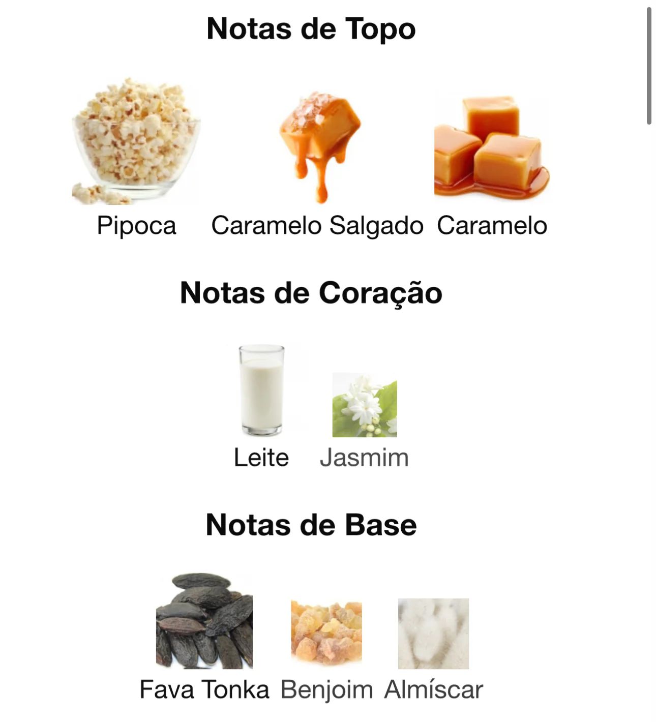 CUPCAKE WHIPHED PLEASURE