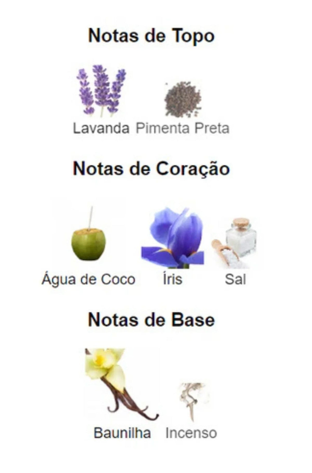 ASAD ZANZIBAR DE LATTAFA