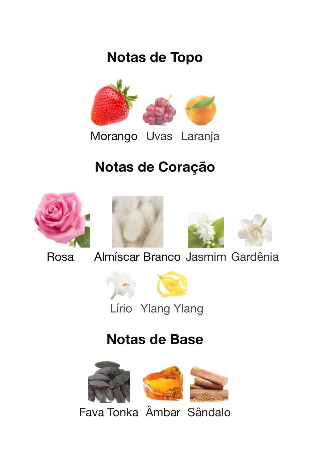 AMEER AL ARAB DE ASDAAF