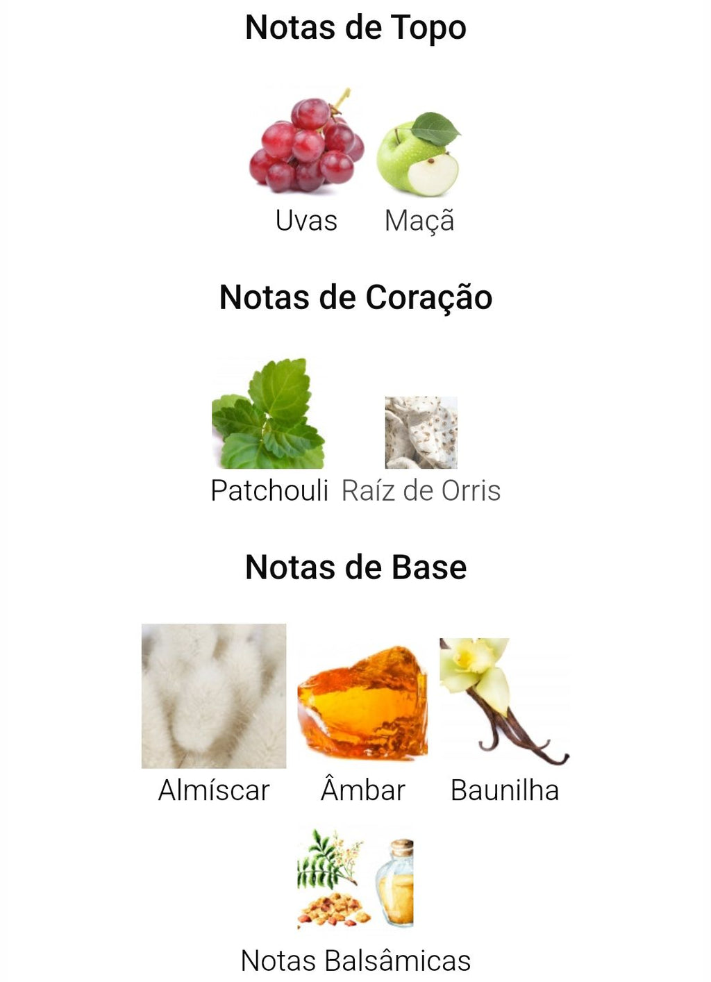 CASABLANCA DE SWISS ARABIAN