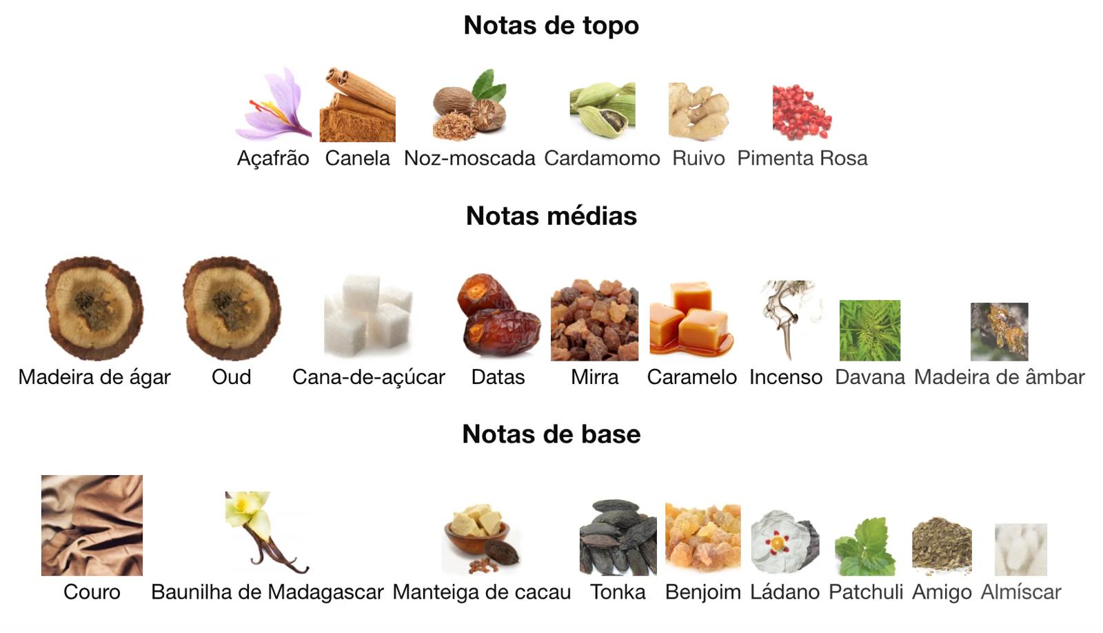 COCOA MORADO DE FRENCH AVENUE